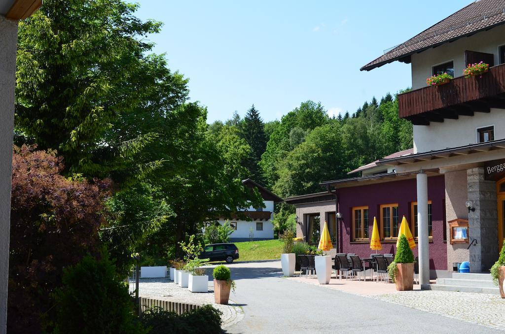 Hotel Der Baeume Drachselsried Exterior photo